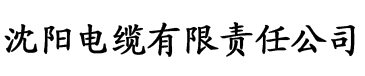 久久中文字幕亚洲一区二区三区电缆厂logo